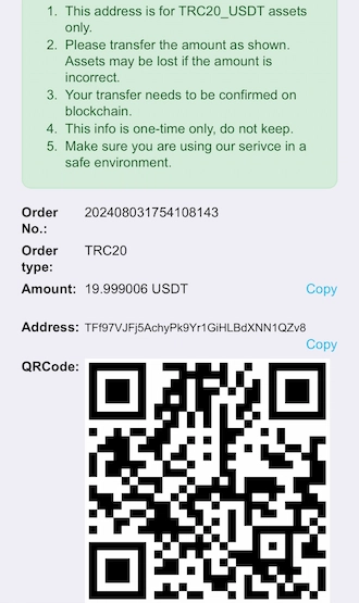 Step 3: Open your crypto wallet and make the payment using the QR code we provide you.